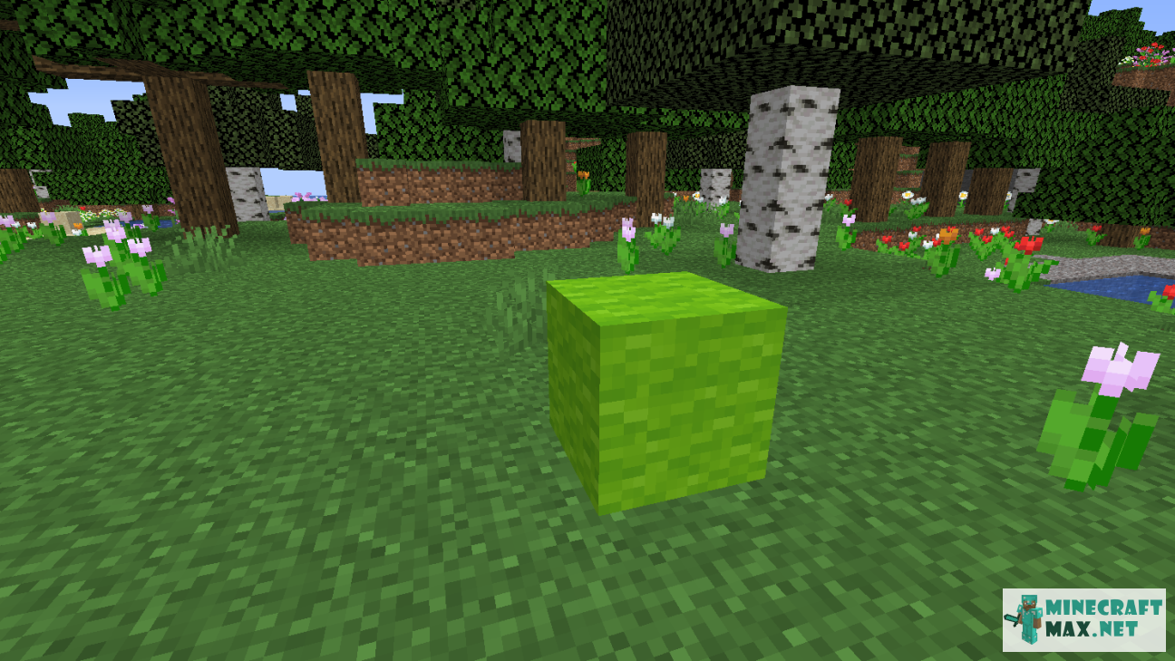 Modem in Minecraft | Screenshot 1183