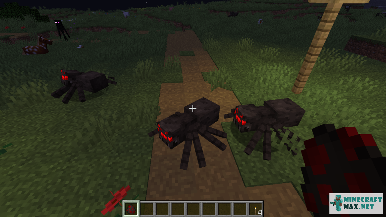 Black gem in Minecraft | Screenshot 1476