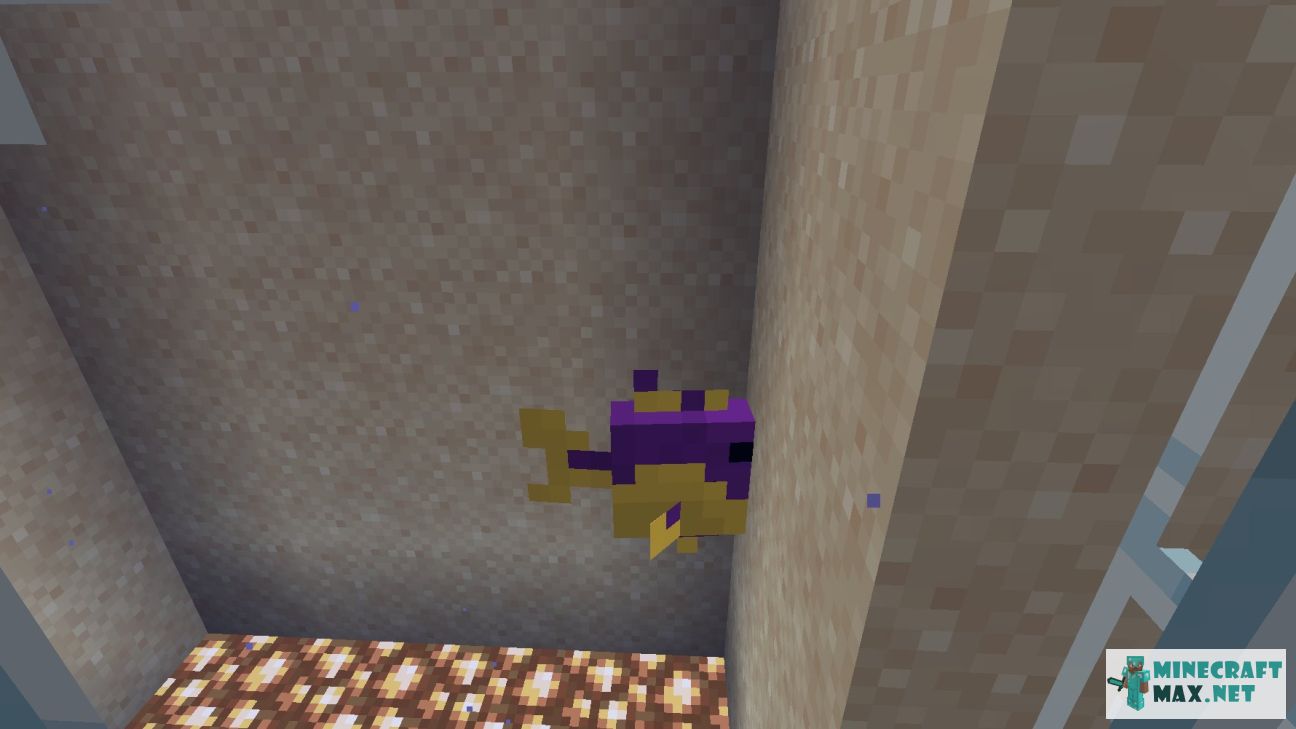 Dottyback in Minecraft | Screenshot 1