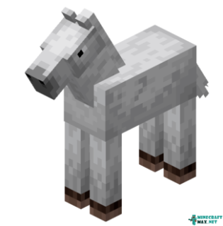 Foal in Minecraft
