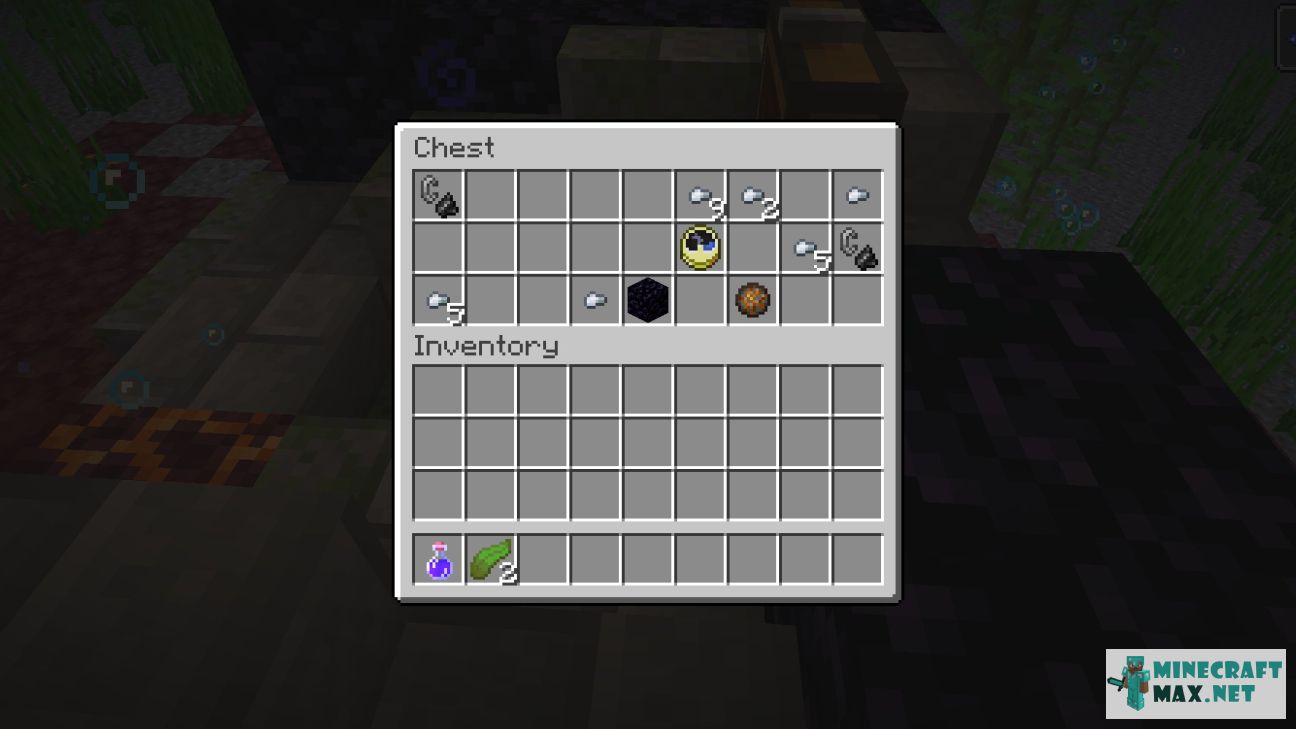 Black gem in Minecraft | Screenshot 3089