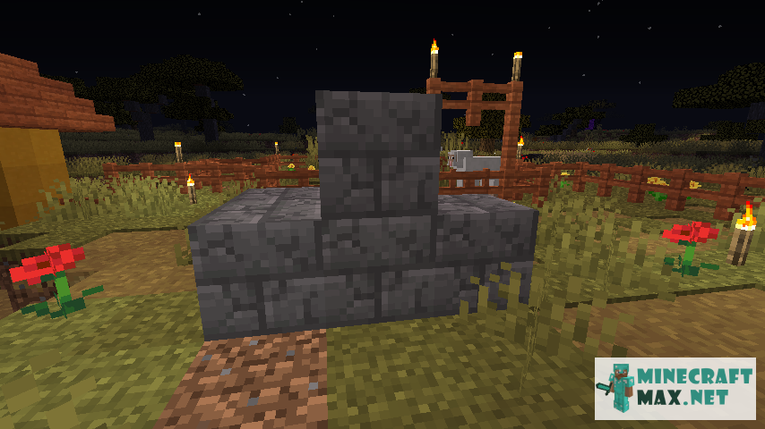 Black gem in Minecraft | Screenshot 849
