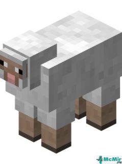 Овца в Майнкрафте