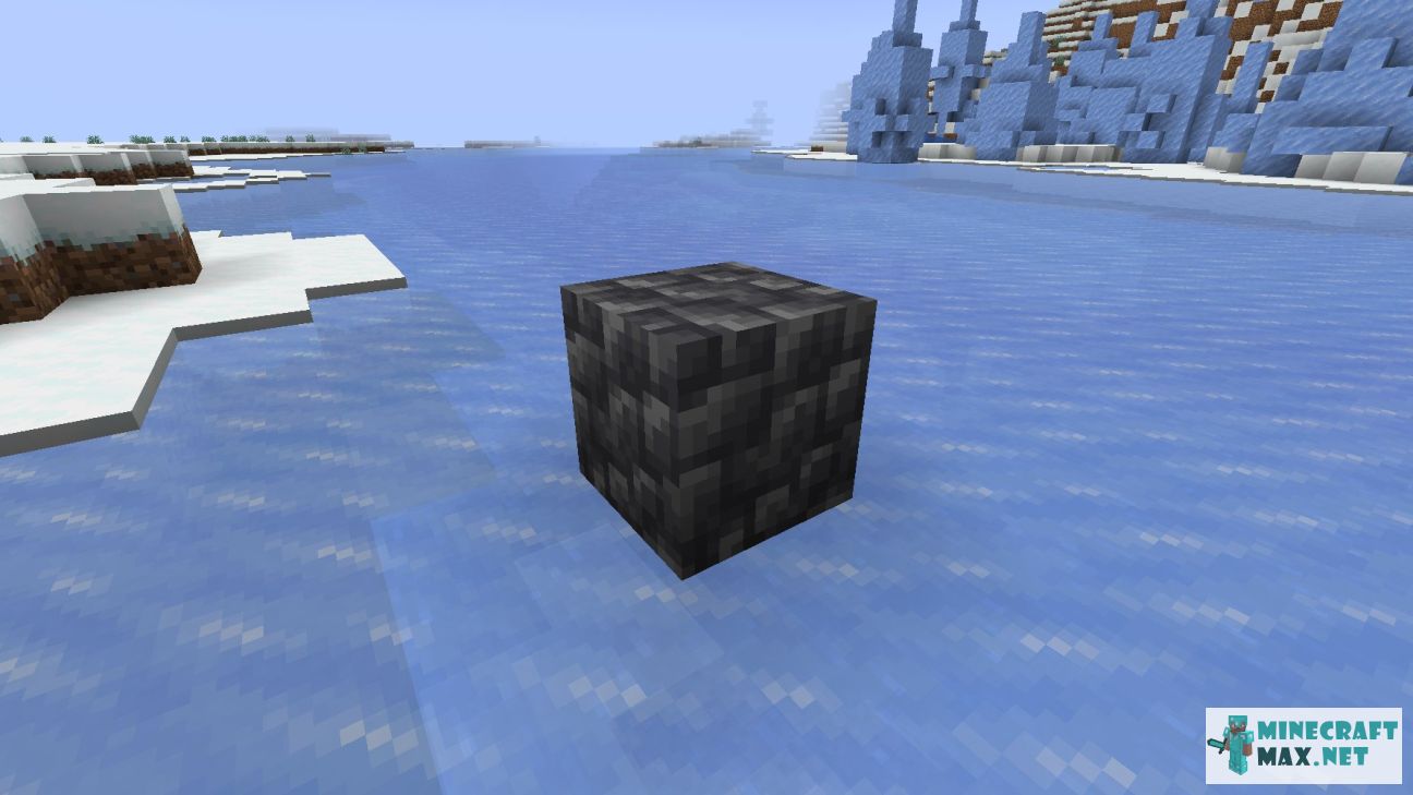 Black gem in Minecraft | Screenshot 3418