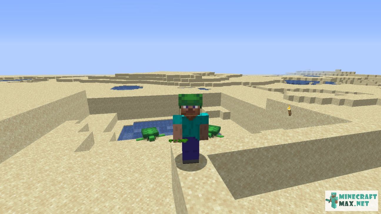Black gem in Minecraft | Screenshot 2101