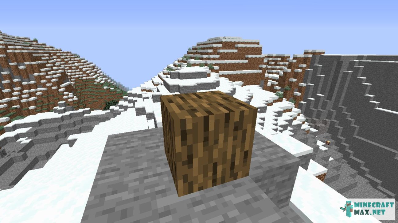 Modem in Minecraft | Screenshot 3045