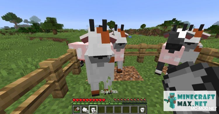 Veiciet uzdevumu Подоить козу programmā Minecraft | Screenshot 10