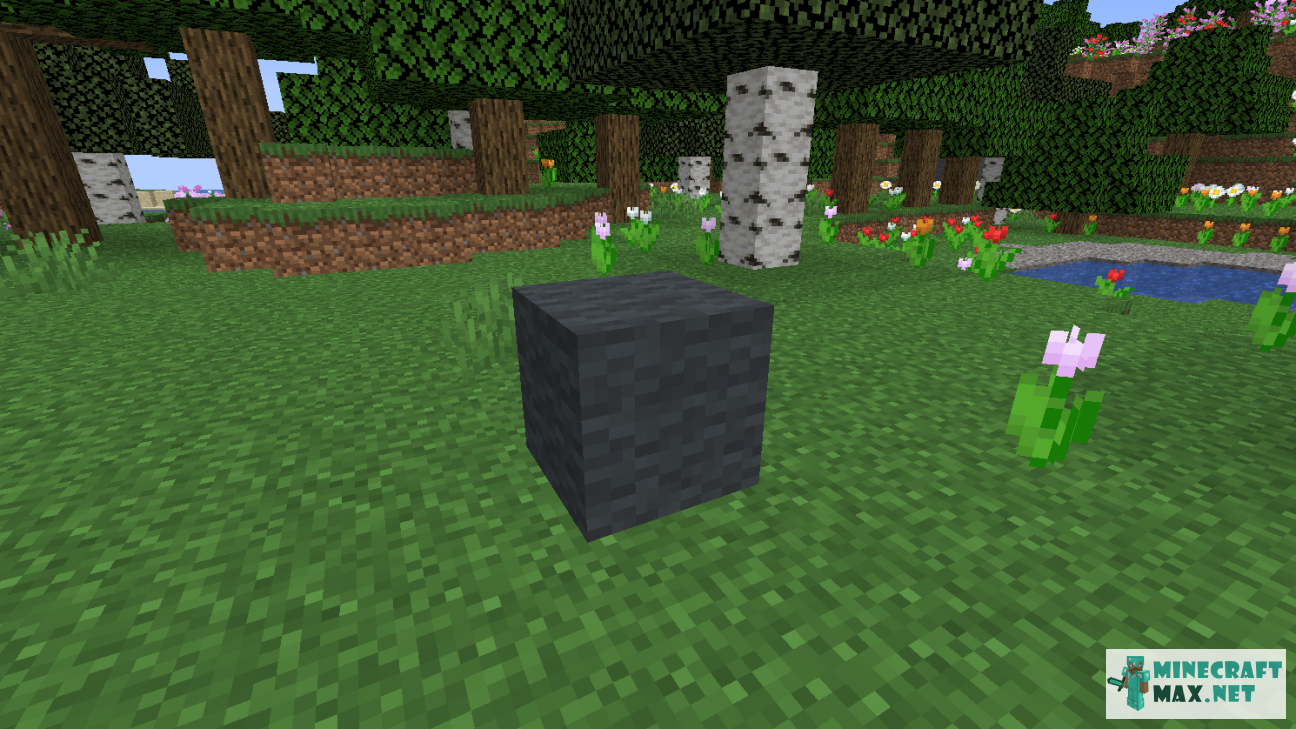 Black gem in Minecraft | Screenshot 1184