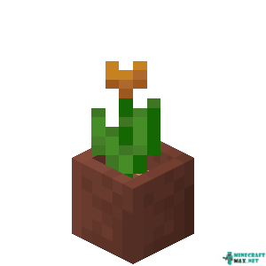 Potted Orange Tulip in Minecraft