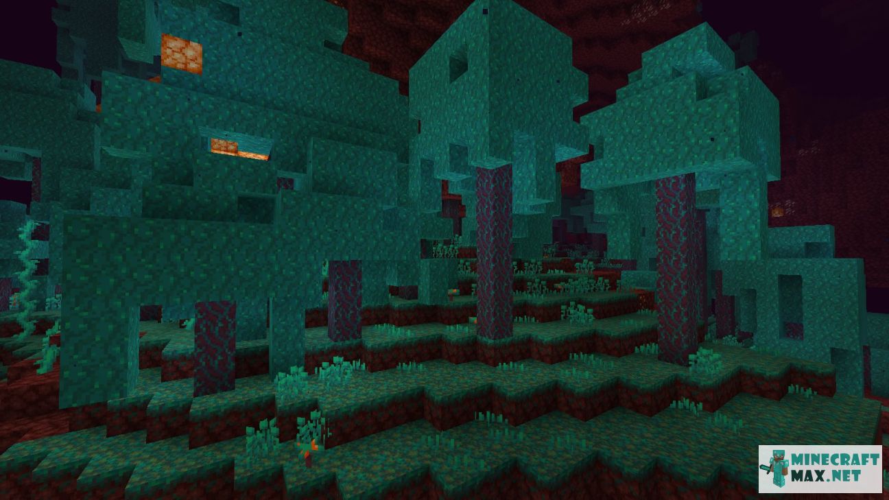 Black gem in Minecraft | Screenshot 3607