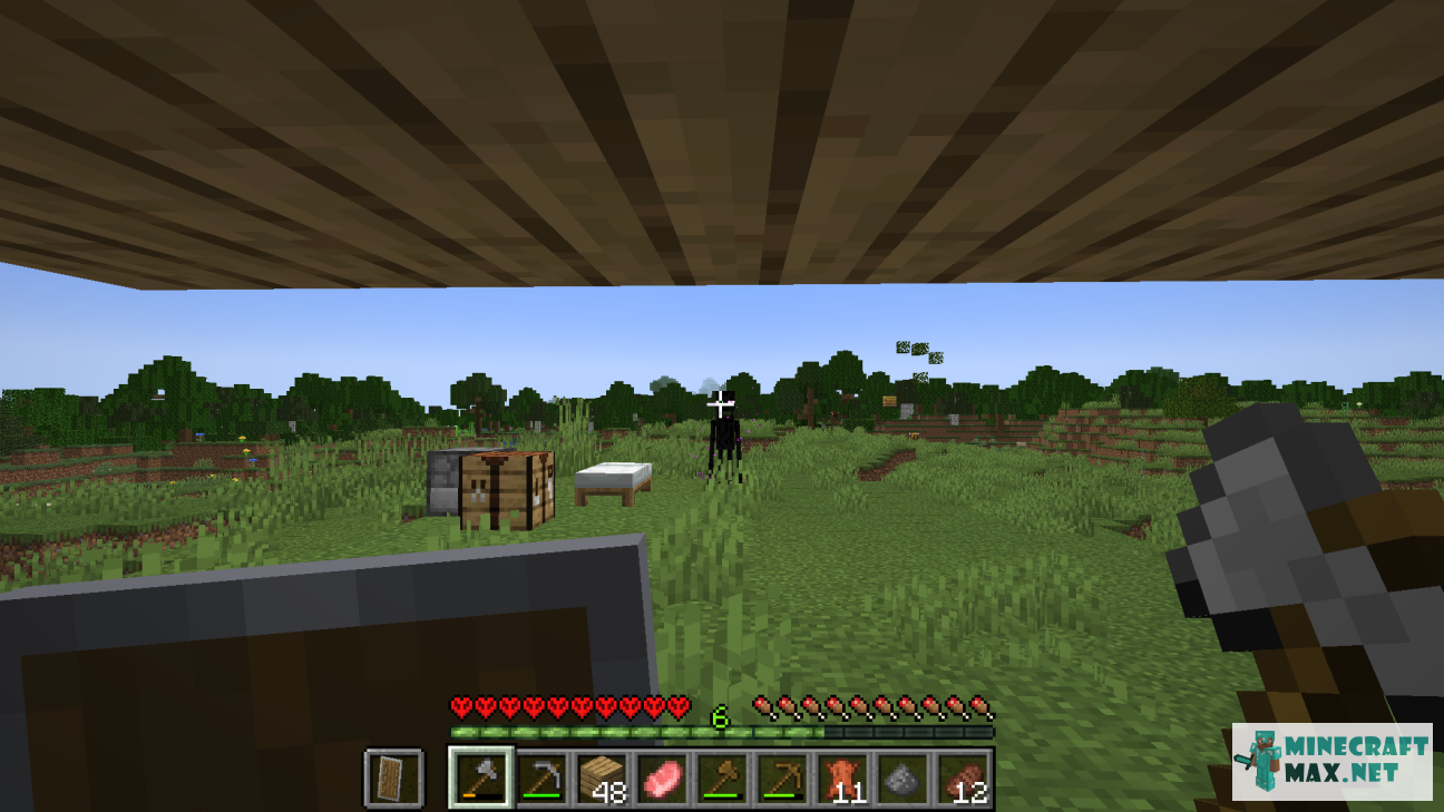 Quests Portrait of an aggressive enderman for Minecraft | Screenshot 1