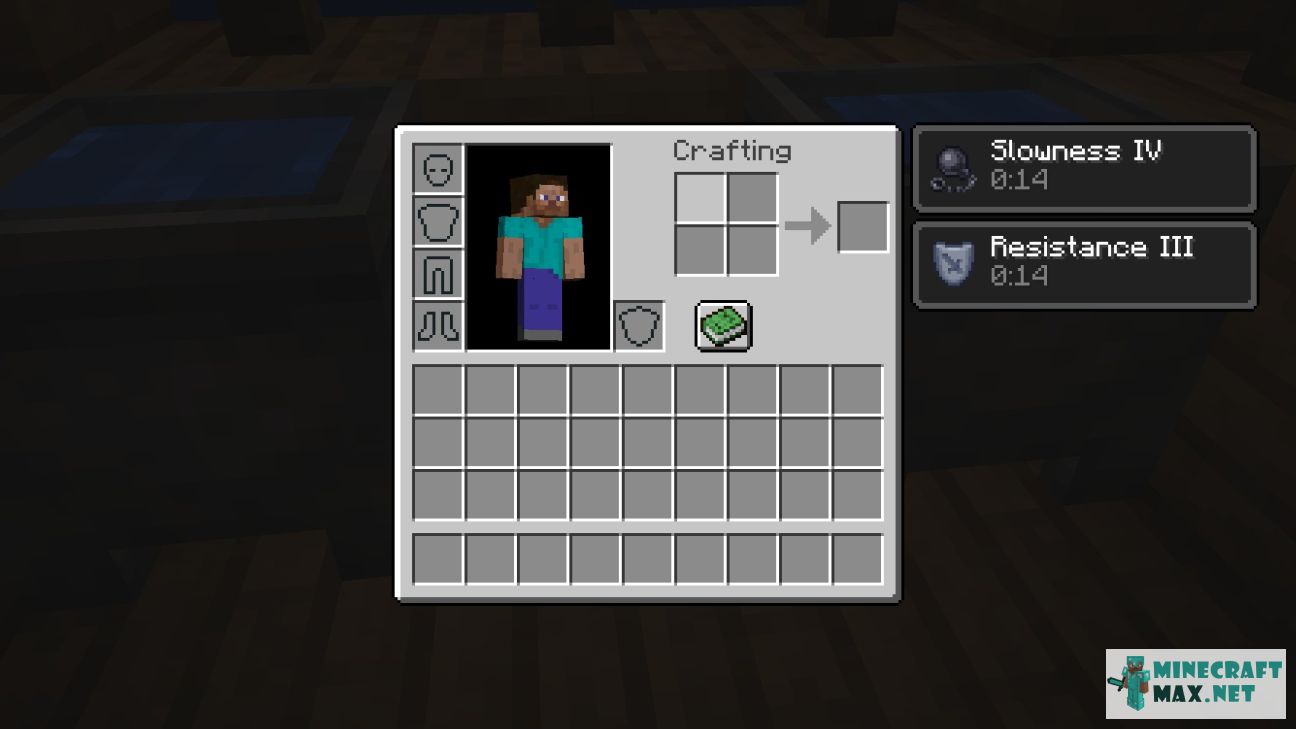 Black gem in Minecraft | Screenshot 2446