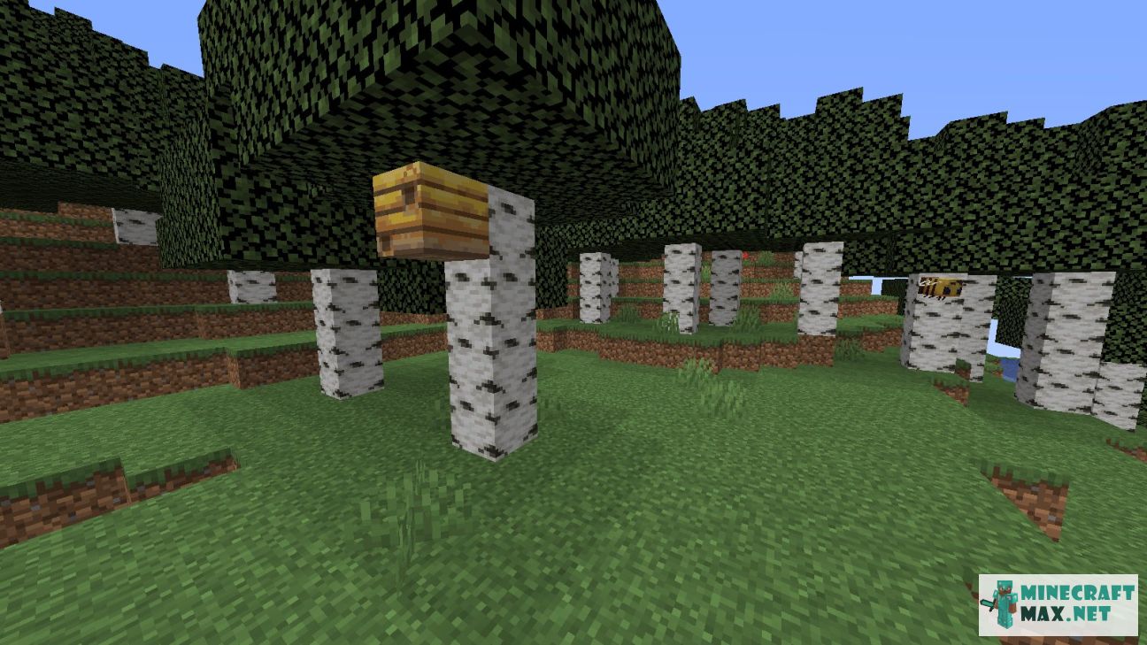 Modem in Minecraft | Screenshot 1068