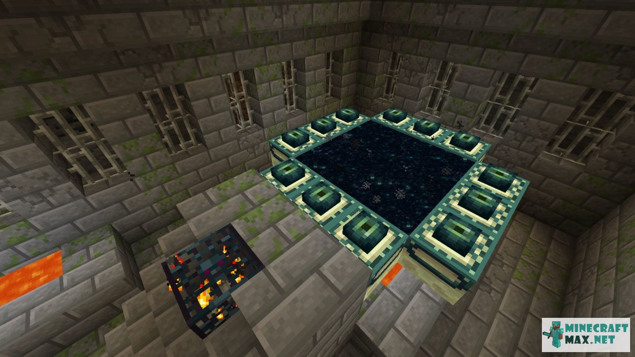 Black gem in Minecraft | Screenshot 3613