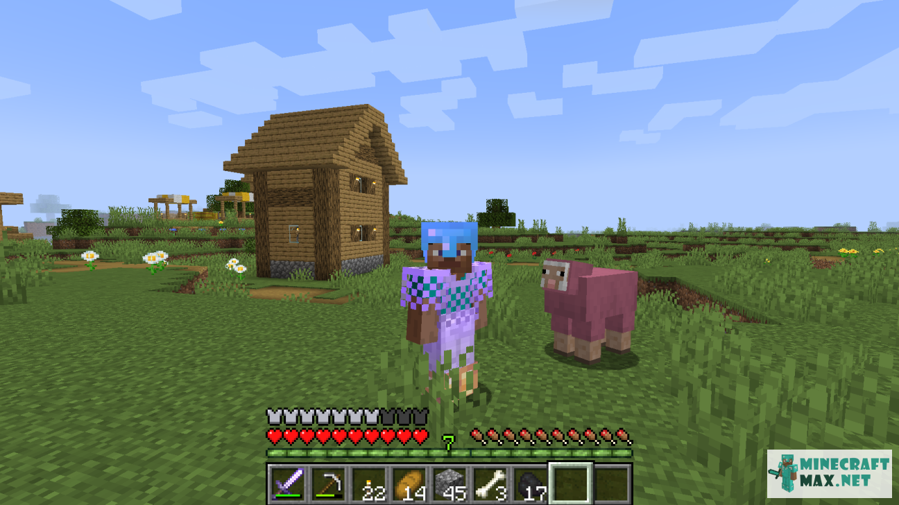 Quests Find the pink lamb for Minecraft | Screenshot 6