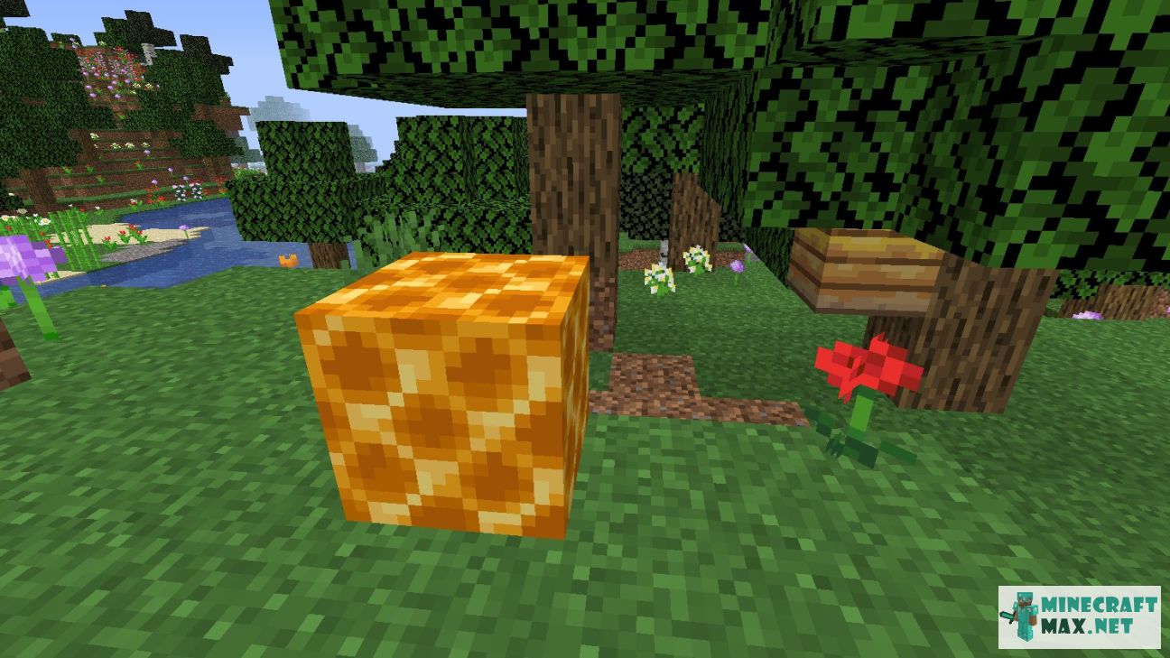 Honeycomb Block in Minecraft | Screenshot 1