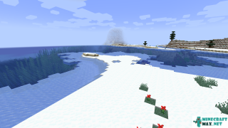 Snowy Beach in Minecraft