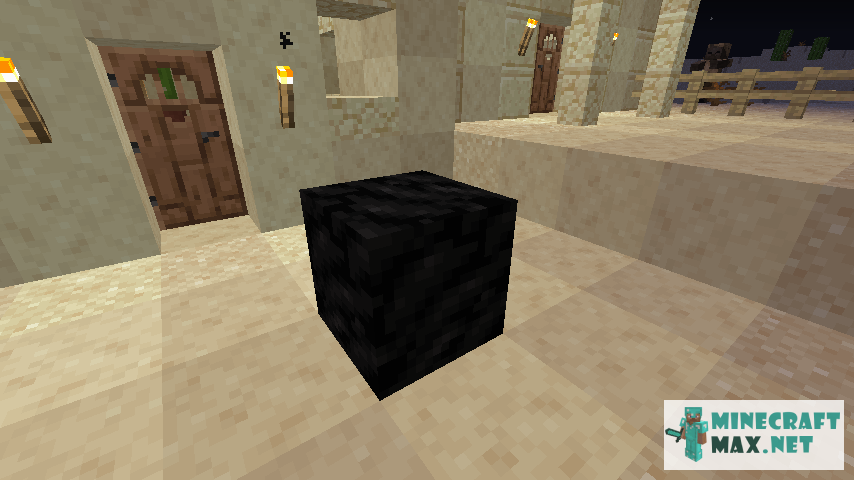 Black gem in Minecraft | Screenshot 617