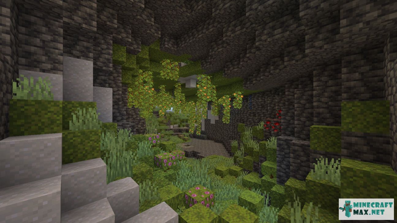 Black gem in Minecraft | Screenshot 3403