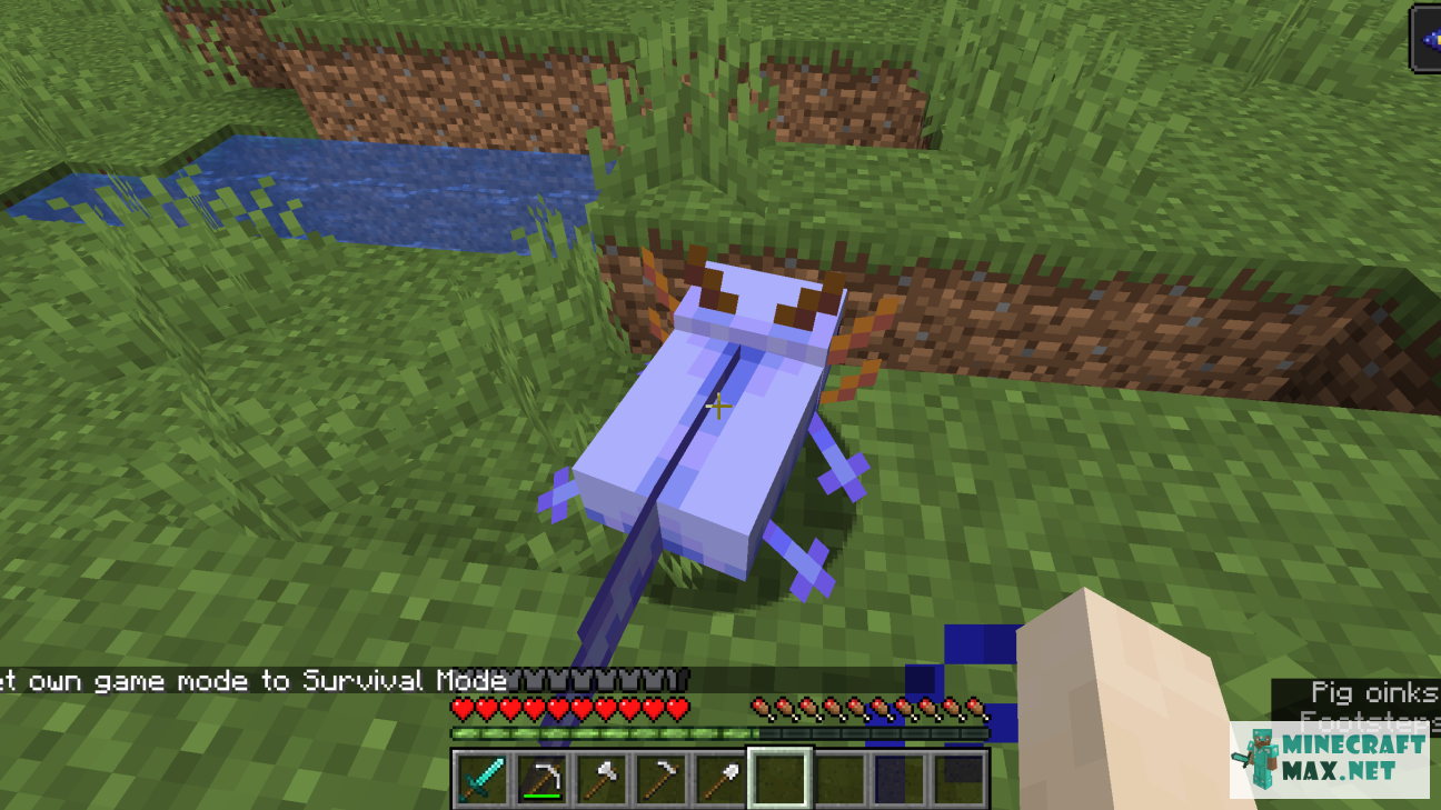 Quests Find the blue axolotl for Minecraft | Screenshot 4