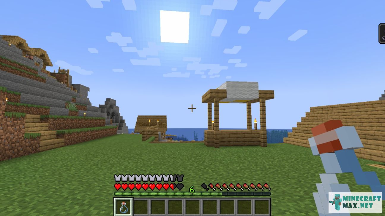 Black gem in Minecraft | Screenshot 3760