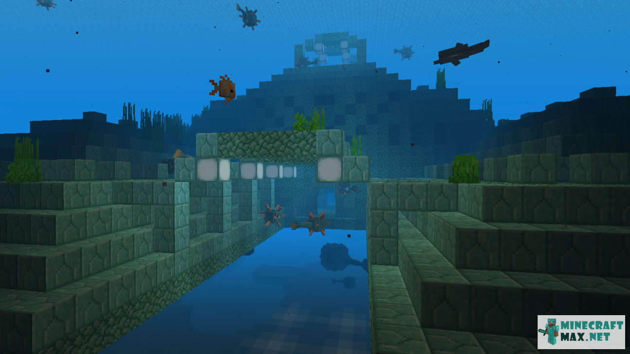 Black gem in Minecraft | Screenshot 1279