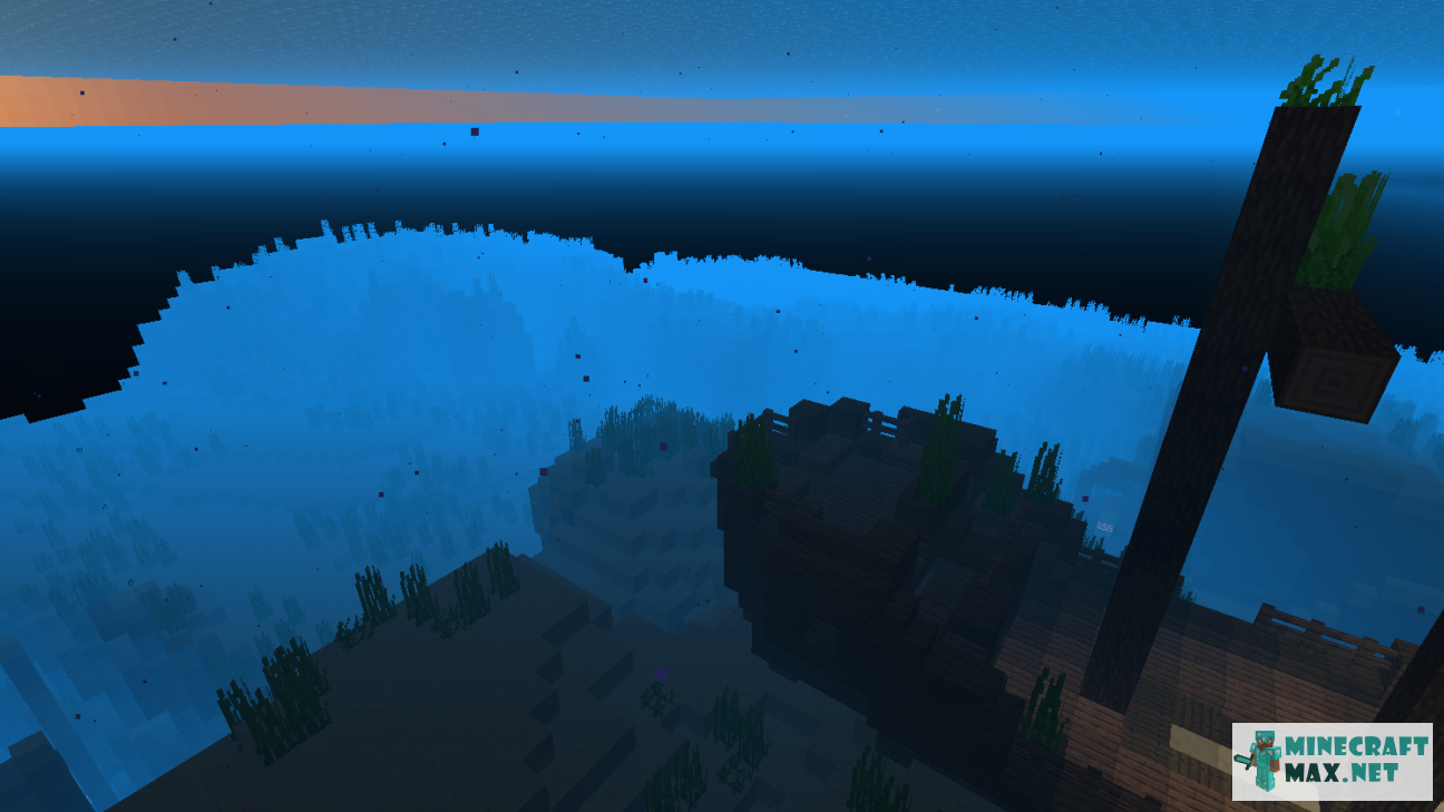 Black gem in Minecraft | Screenshot 1074