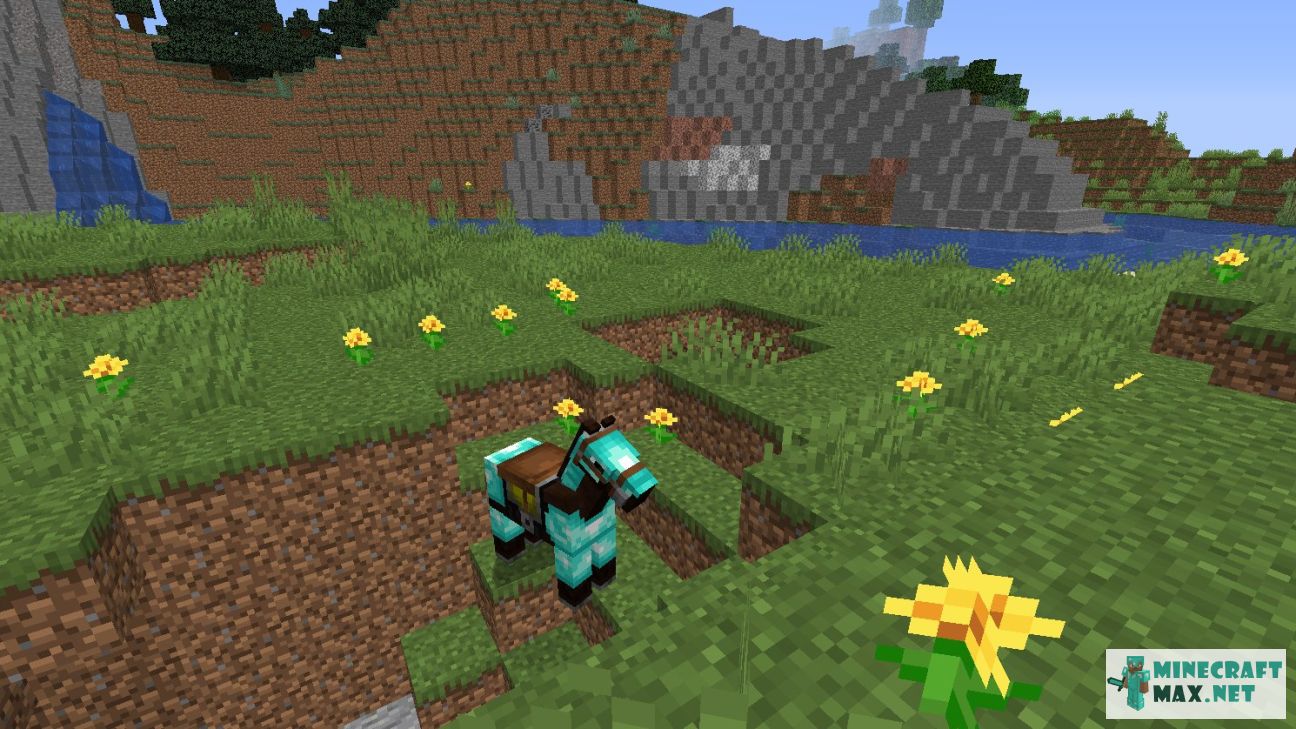 Black gem in Minecraft | Screenshot 785