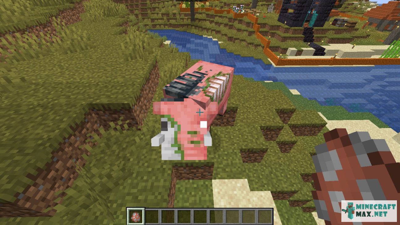 Modem in Minecraft | Screenshot 3034