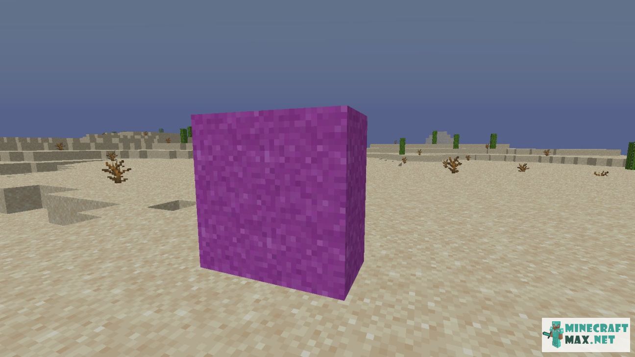 Black gem in Minecraft | Screenshot 2721