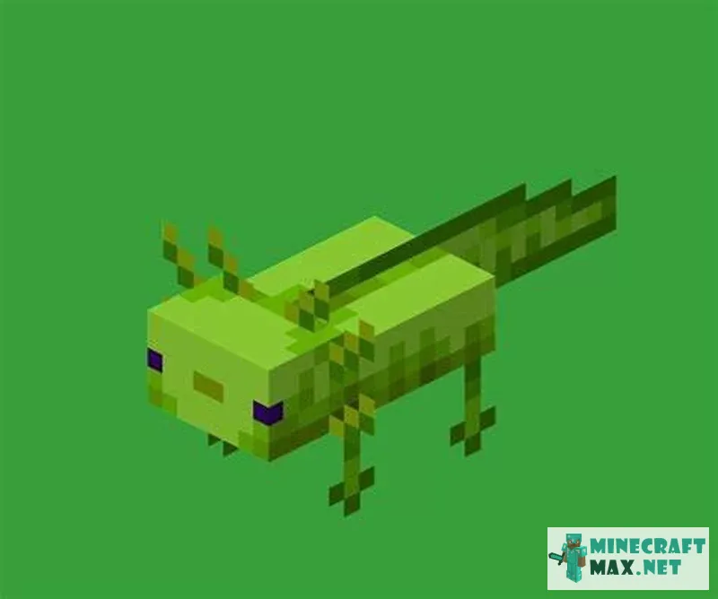 Green Axolotl | Download texture for Minecraft: 1