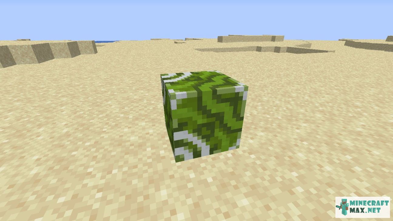 Green Glazed Terracotta in Minecraft | Screenshot 1