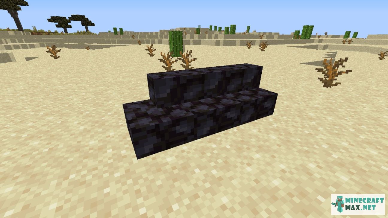 Black gem in Minecraft | Screenshot 2854