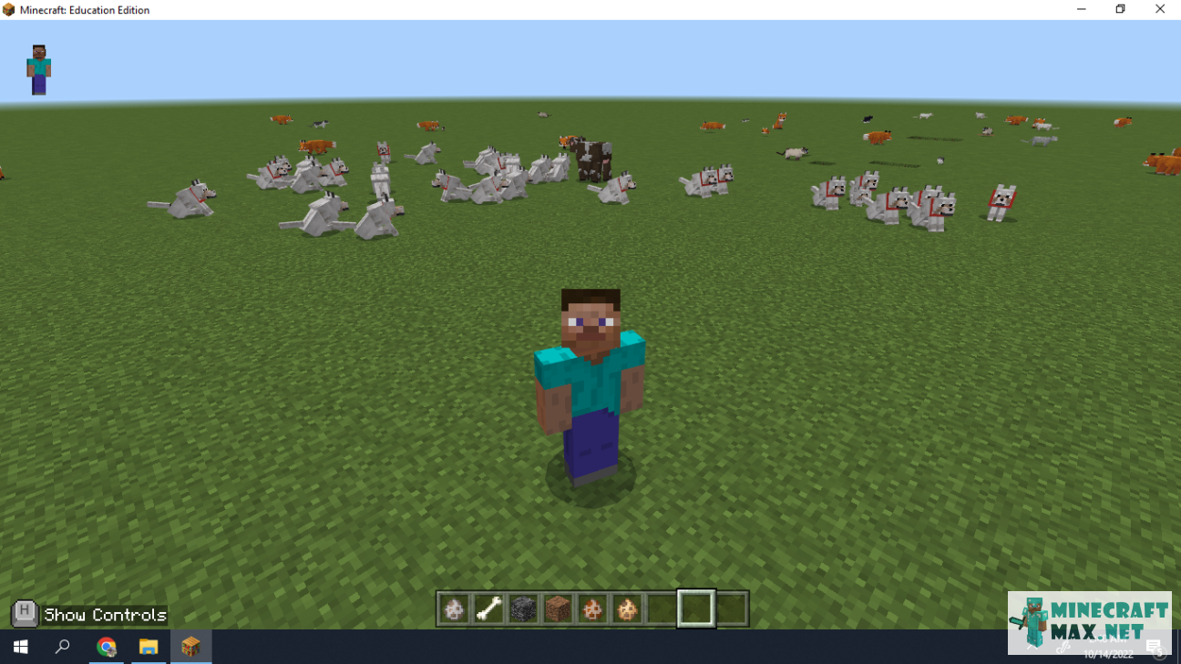 Quests Tame a pack of 10 or more wolves for Minecraft | Screenshot 1