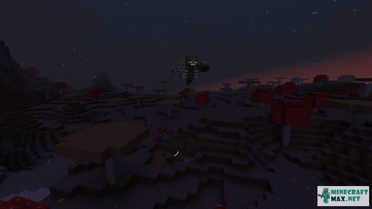 Wither in Minecraft | Screenshot 2