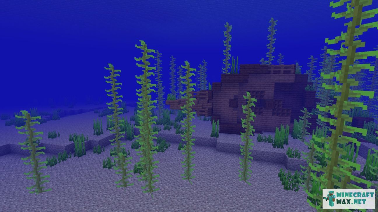 Modem in Minecraft | Screenshot 3502