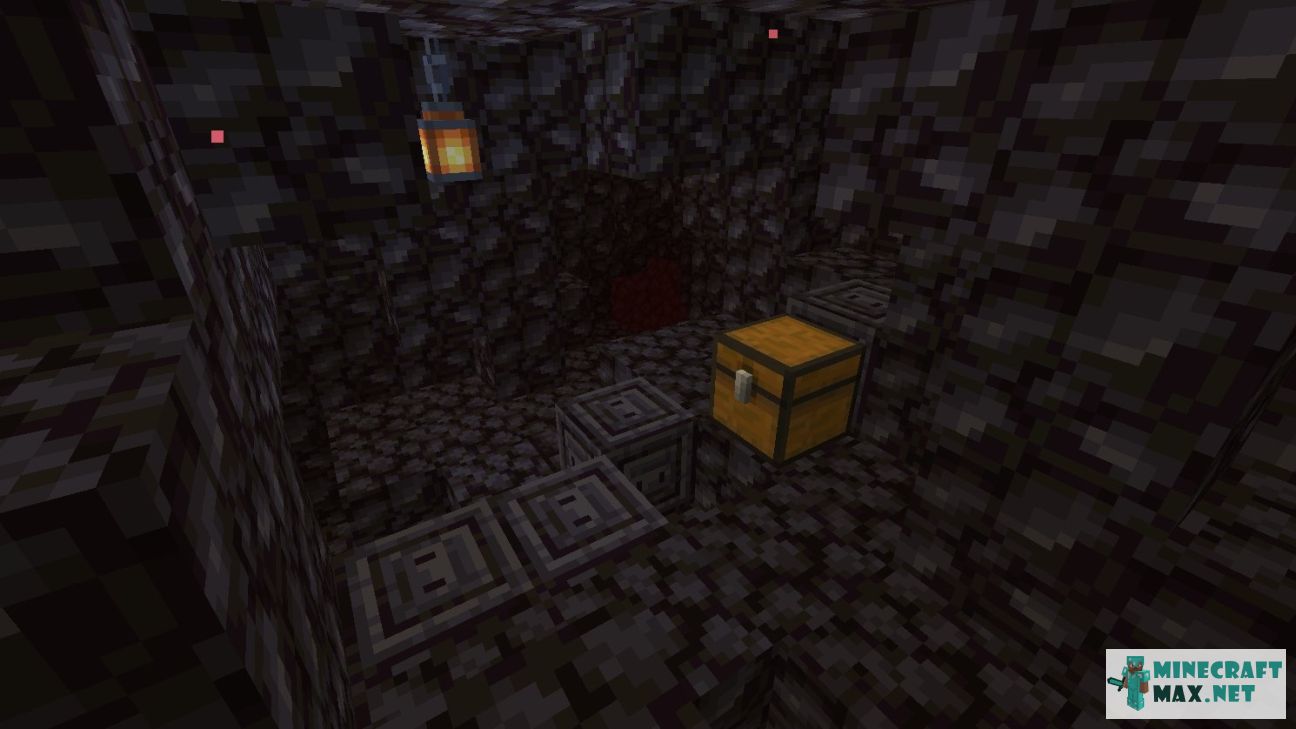 Black gem in Minecraft | Screenshot 2931