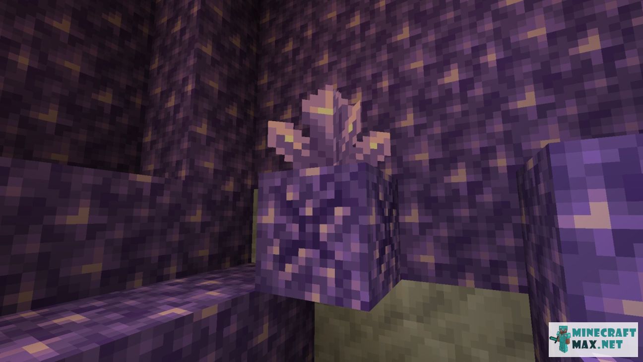 Black gem in Minecraft | Screenshot 3331