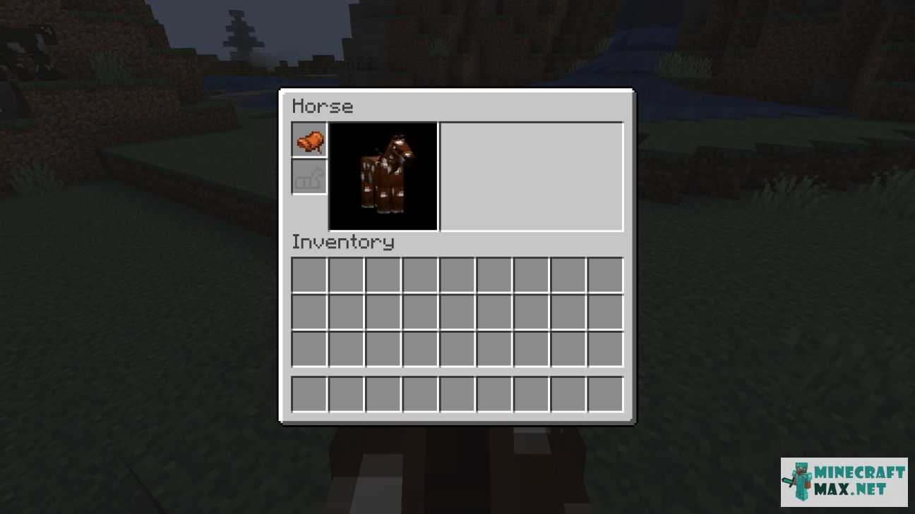 Black gem in Minecraft | Screenshot 630