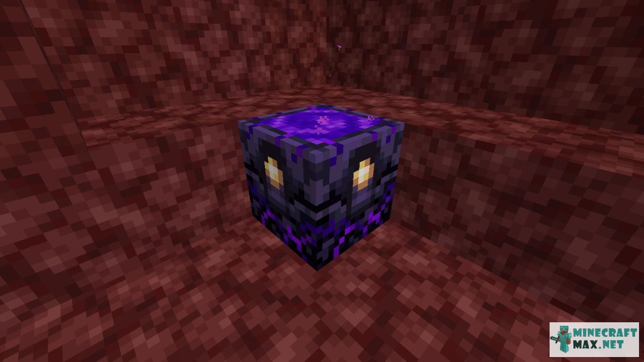 Black gem in Minecraft | Screenshot 2647