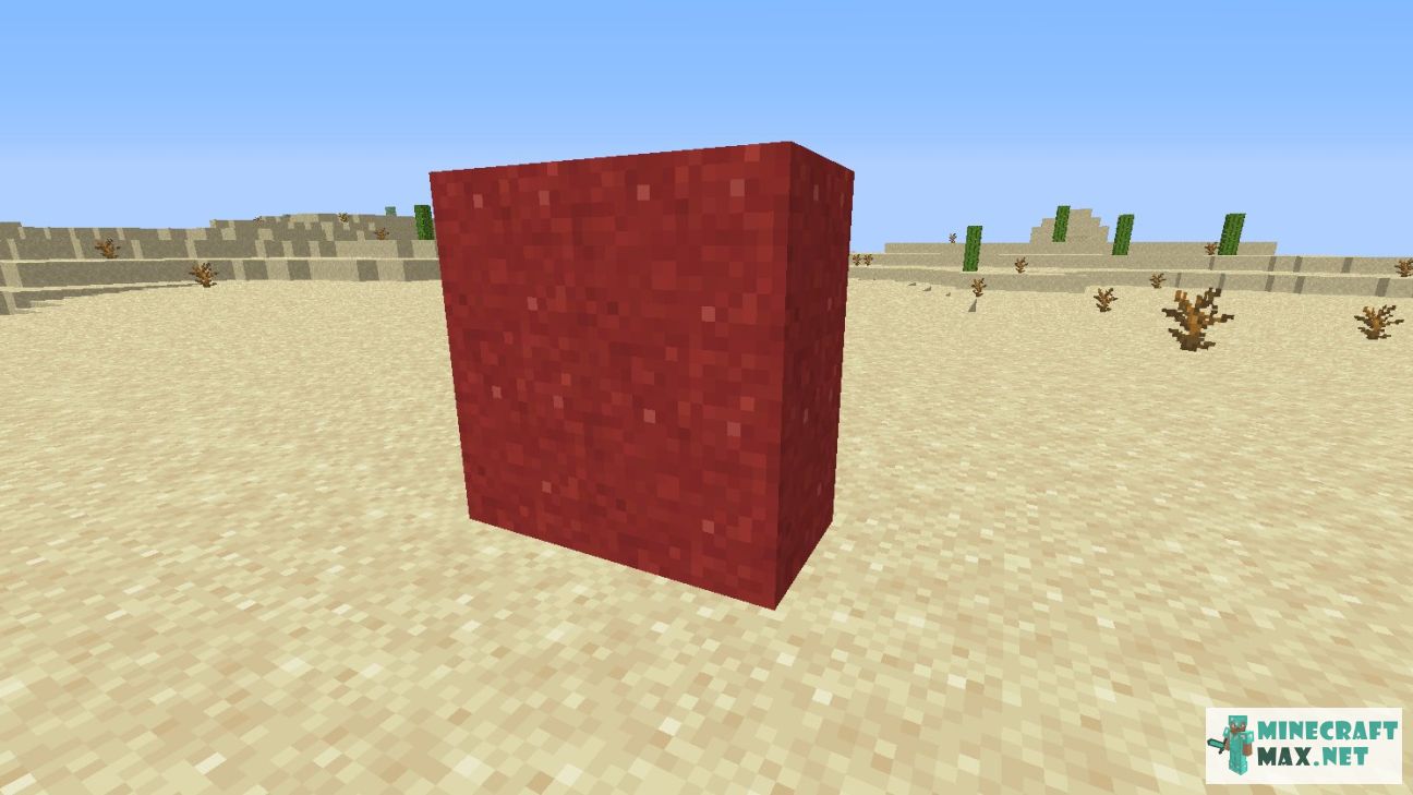 Black gem in Minecraft | Screenshot 2736