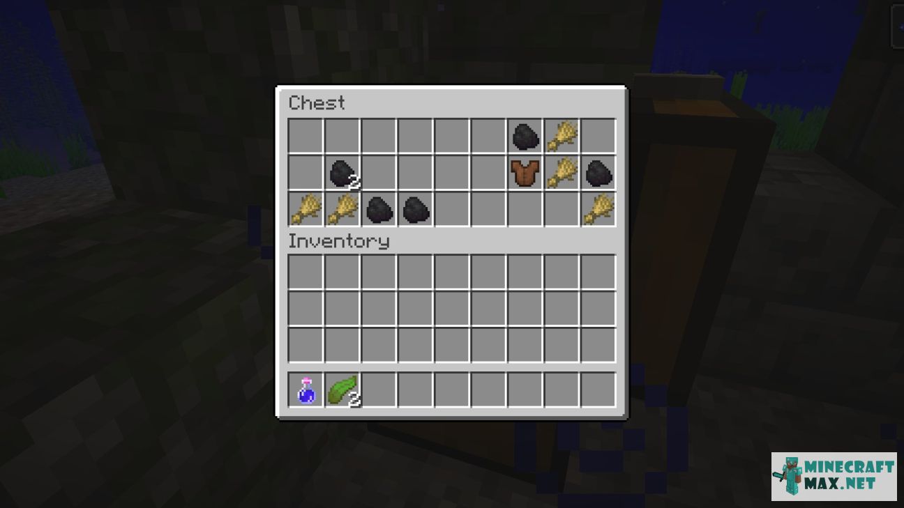 Black gem in Minecraft | Screenshot 3061