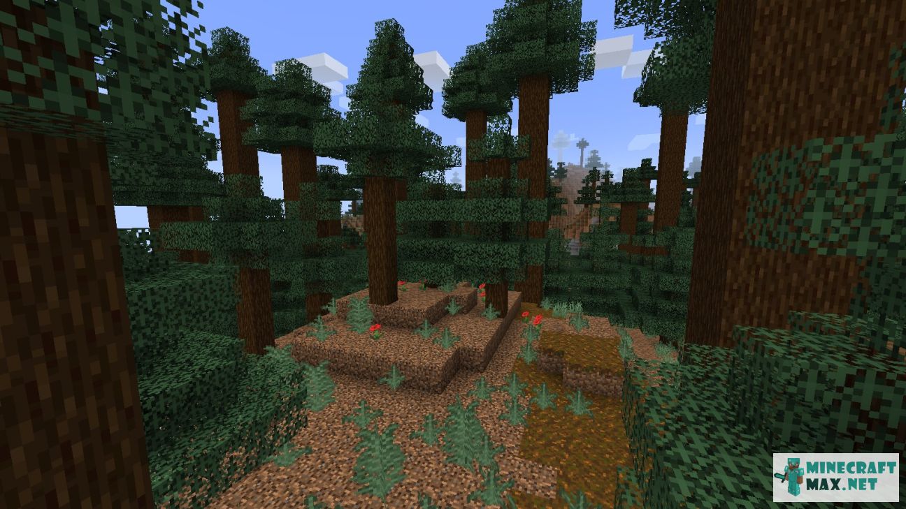 Modem in Minecraft | Screenshot 3541