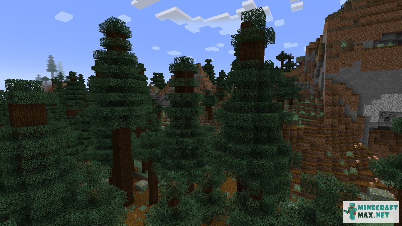 Old Growth Spruce Taiga in Minecraft