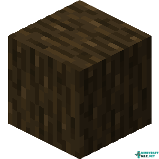Dark Oak Wood in Minecraft