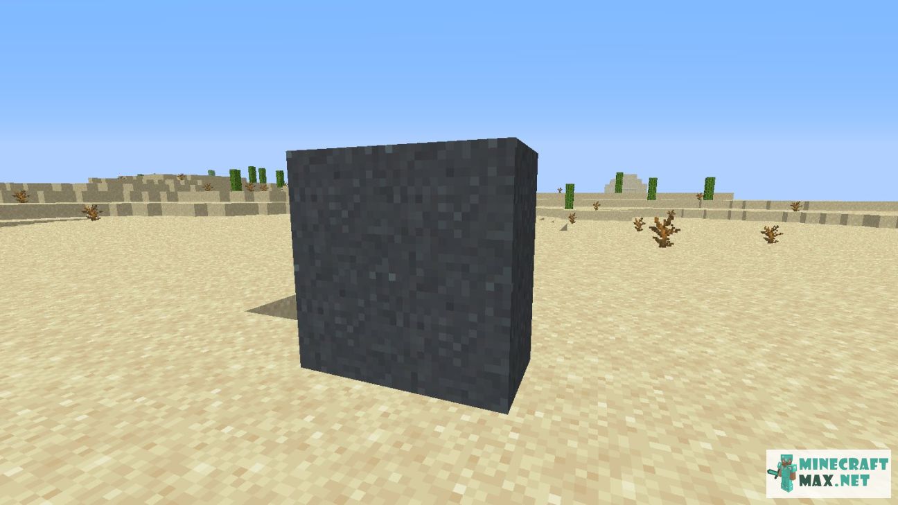 Black gem in Minecraft | Screenshot 2701