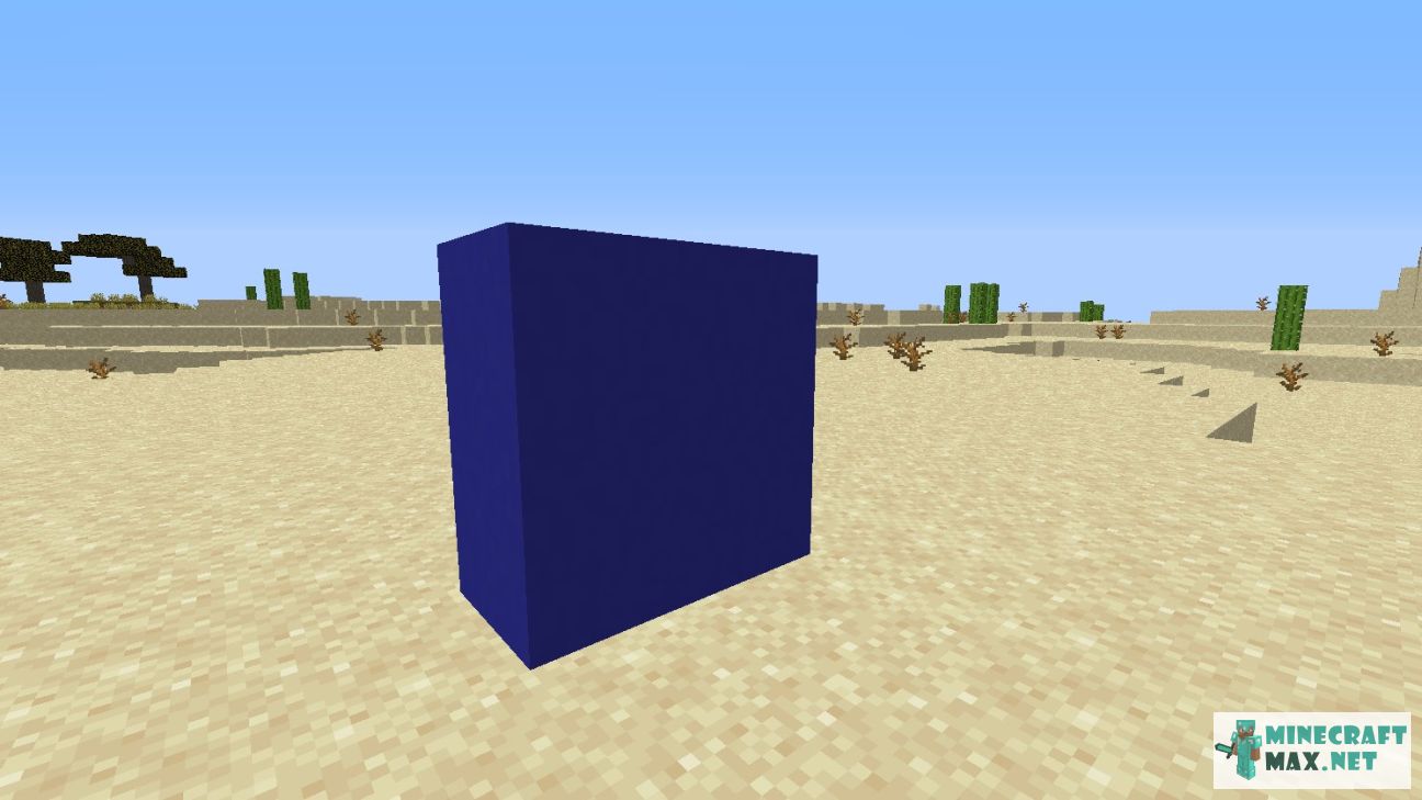 Black gem in Minecraft | Screenshot 2687