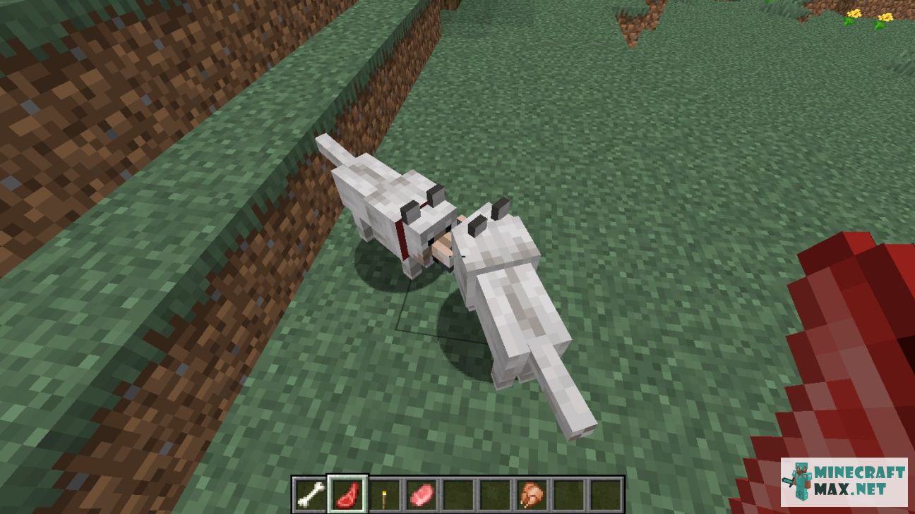 Tamed wolf in Minecraft | Screenshot 2