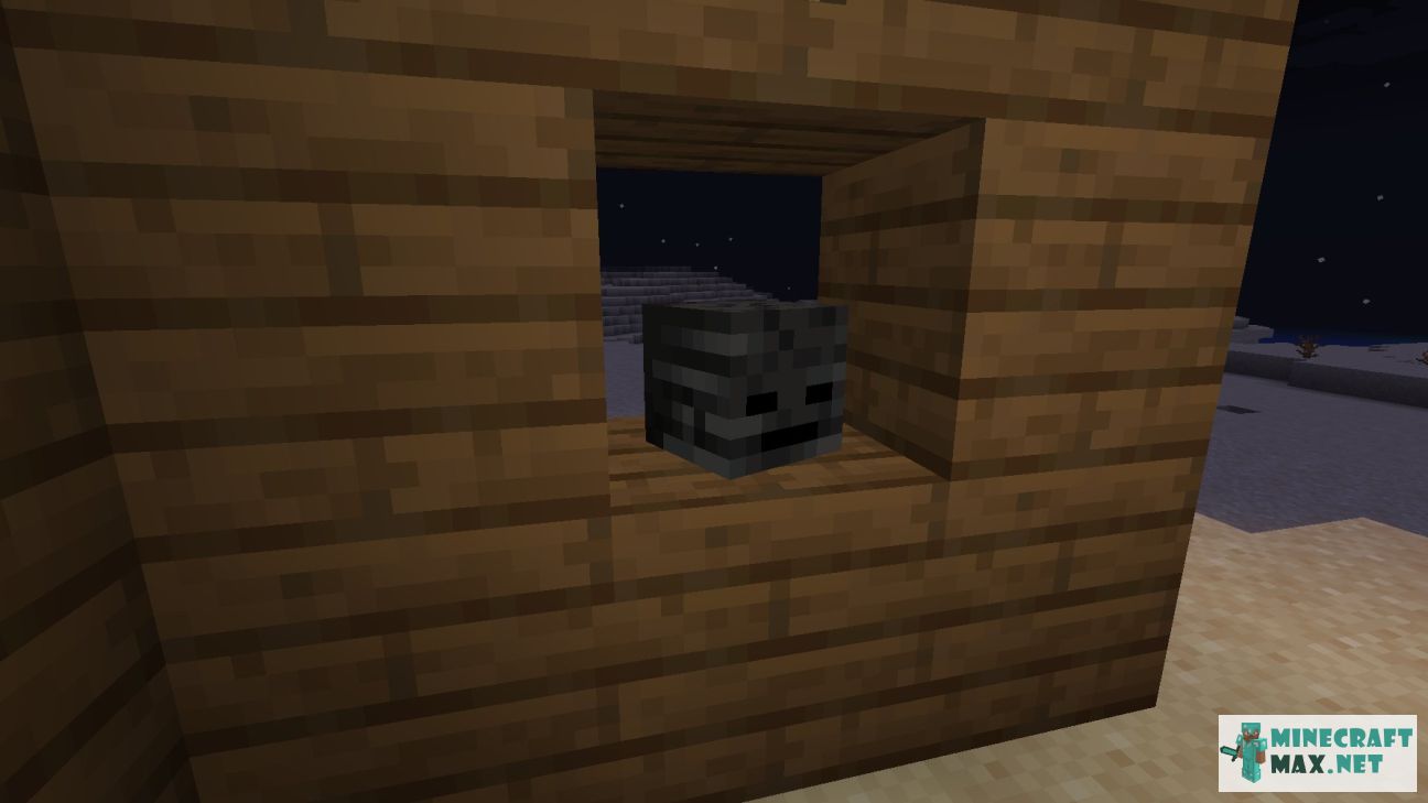 Modem in Minecraft | Screenshot 3614