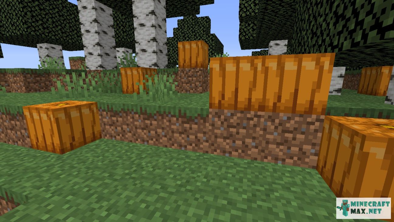 Pumpkin | How to craft pumpkin in Minecraft | Minecraft Wiki